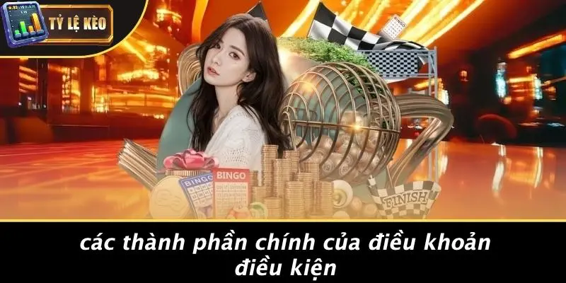 Điều Khoản Điều Kiện 2 Điều Khoản Điều Kiện