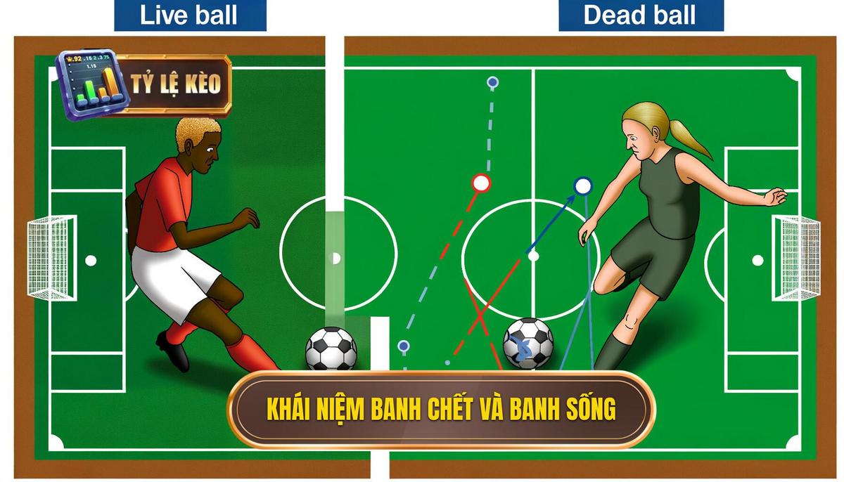  Khái niệm cơ bản_ Banh chết và banh sống là gì_