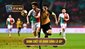 Banh chết và banh sống là gì