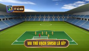 Vạch 5m50 để làm gì