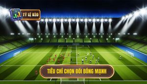 Tiêu chí chọn đối bóng mạnh