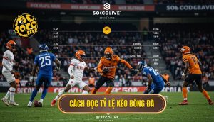 Cách đọc tỷ lệ kèo bóng đá