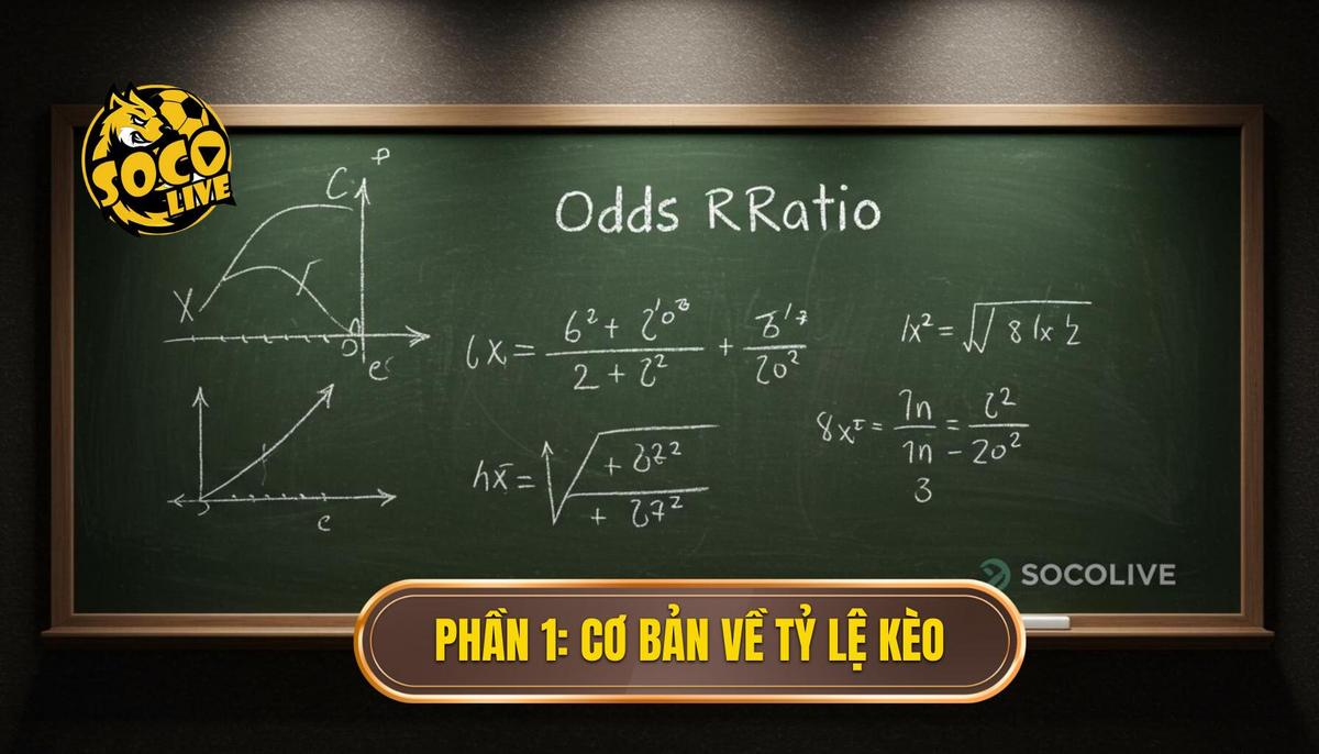 Phần 1_ Khái Niệm Cơ Bản Về Tỷ Lệ Kèo Bóng Đá