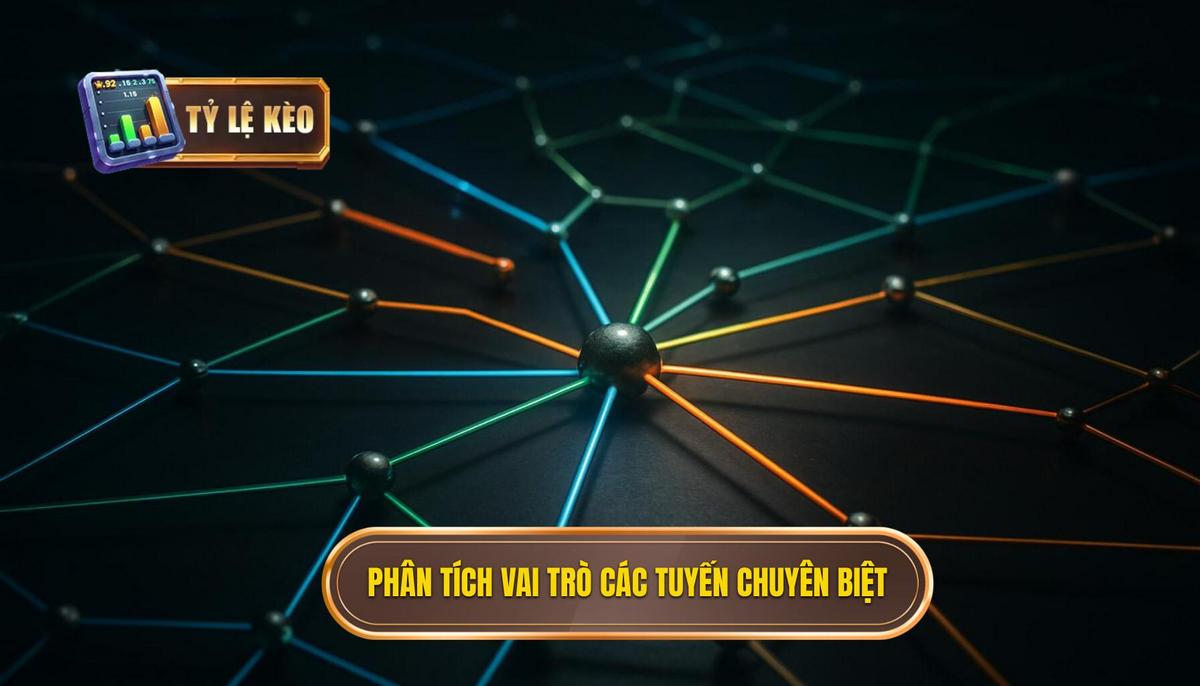 Phân Tích Vai Trò Chuyên Biệt Của Từng Tuyến