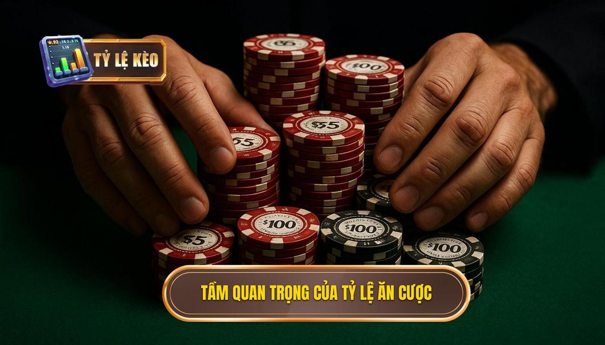 Phân tích tầm quan trọng của việc biến động tỷ lệ ăn cược